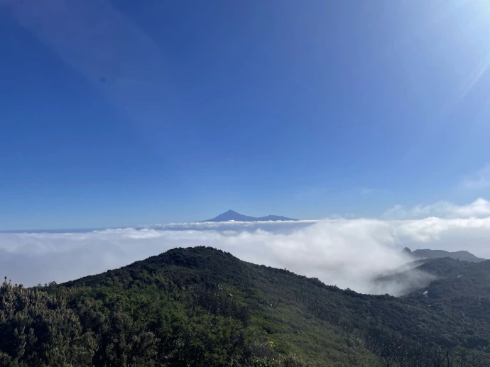 Un coaching sur mesure pour prendre de la hauteur