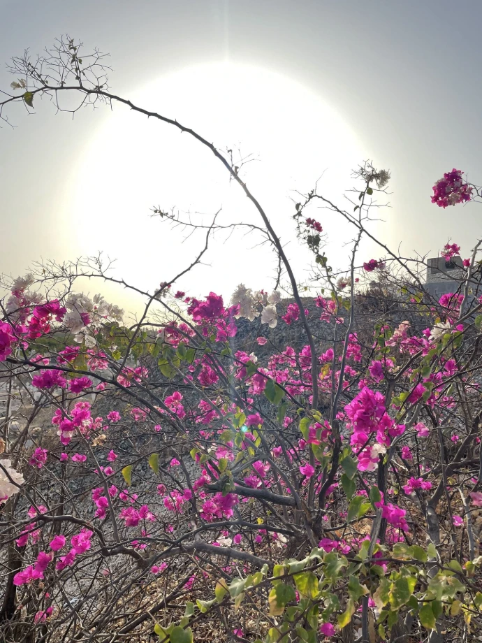 Une approche naturelle et authentique