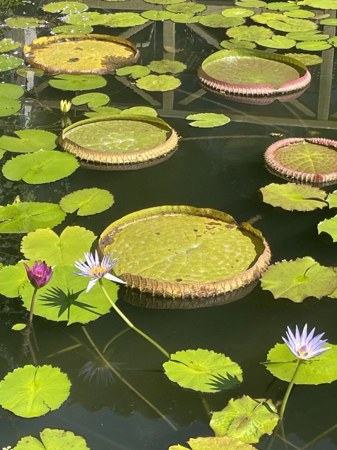 une approche 100% sur mesure