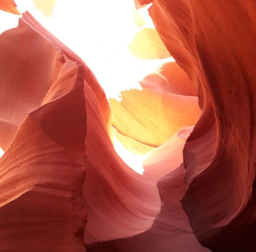 contactez-moi antilop