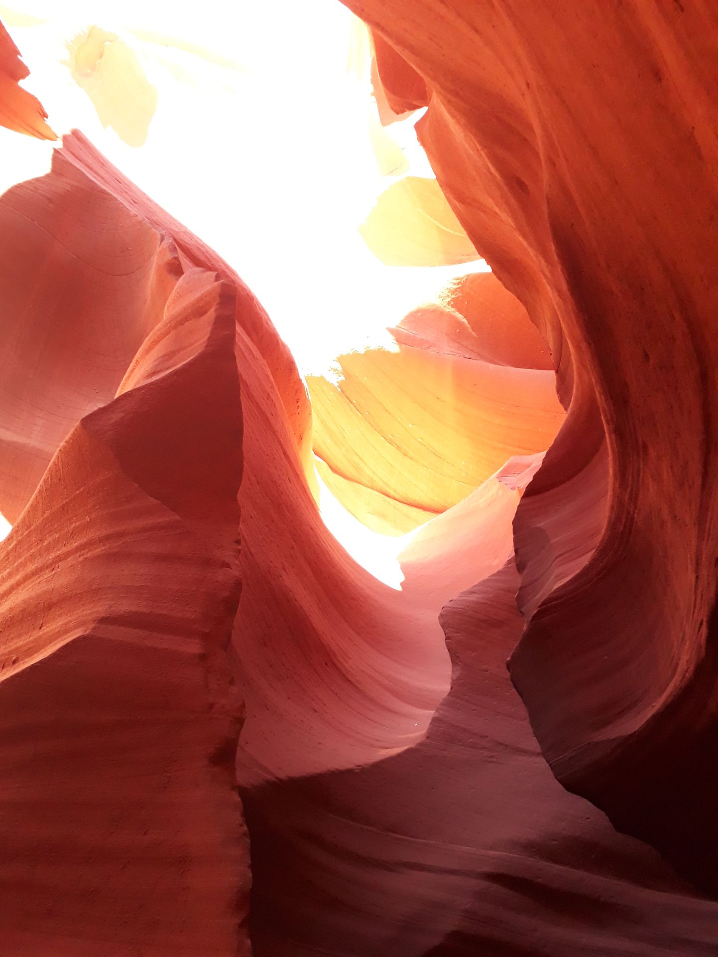 contactez-moi antilop